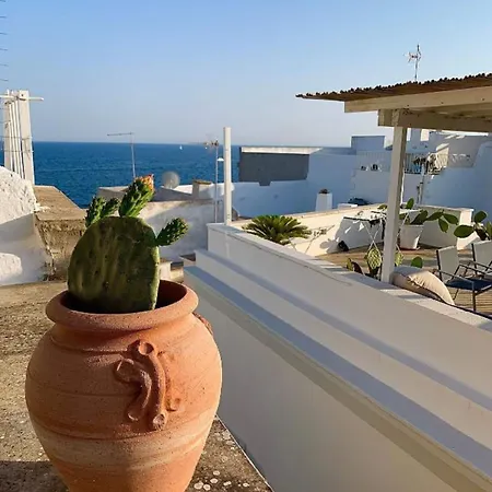 Corte Vico Palmisano Centro Storico Bed & Breakfast Gallipoli